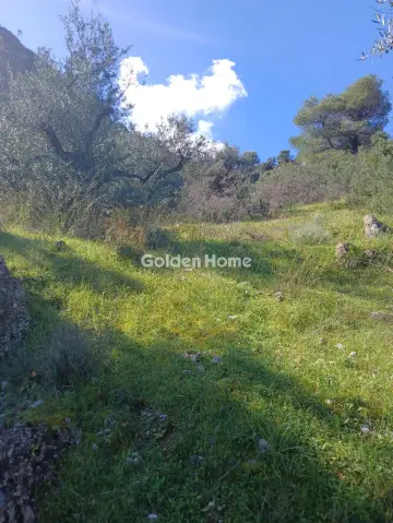 Αγροτεμάχιο 22000τ.μ. προς πώληση φωτογραφία 7