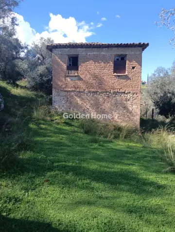 Αγροτεμάχιο 22000τ.μ. προς πώληση φωτογραφία 9