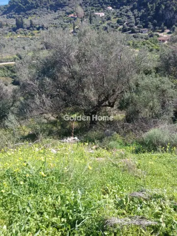 Αγροτεμάχιο 22000τ.μ. προς πώληση φωτογραφία 8