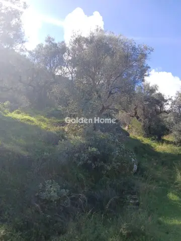 Αγροτεμάχιο 22000τ.μ. προς πώληση φωτογραφία 10