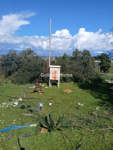 Αγροτεμάχιο 22000τ.μ. προς πώληση φωτογραφία 11