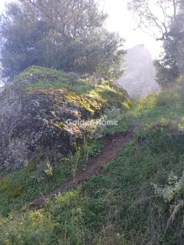 Αγροτεμάχιο 22000τ.μ. προς πώληση φωτογραφία 12