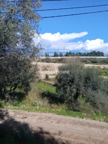 Αγροτεμάχιο 22000τ.μ. προς πώληση φωτογραφία 13