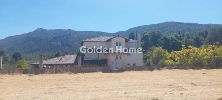 Μονοκατοικία 400τ.μ. προς πώληση φωτογραφία 5303157