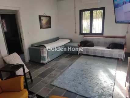 Μονοκατοικία 220τ.μ. προς πώληση φωτογραφία 23