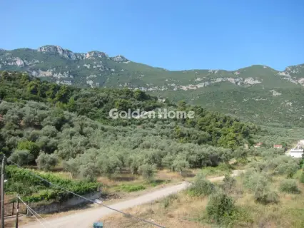 Μονοκατοικία 220τ.μ. προς πώληση φωτογραφία 34