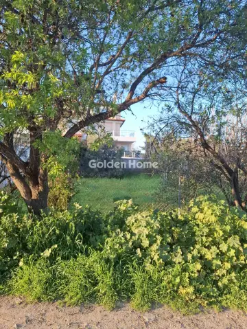 Οικιστικό 256τ.μ. προς πώληση φωτογραφία 5306027