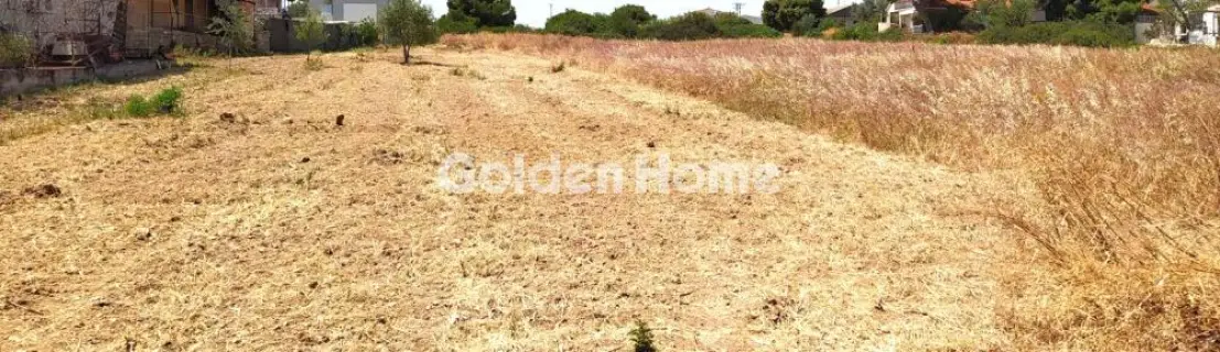 Οικιστικό 1700τ.μ. προς πώληση φωτογραφία 1