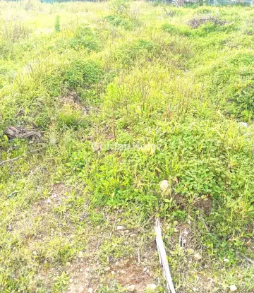 Οικιστικό 670τ.μ. προς πώληση φωτογραφία 1