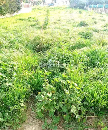 Οικιστικό 670τ.μ. προς πώληση φωτογραφία 2