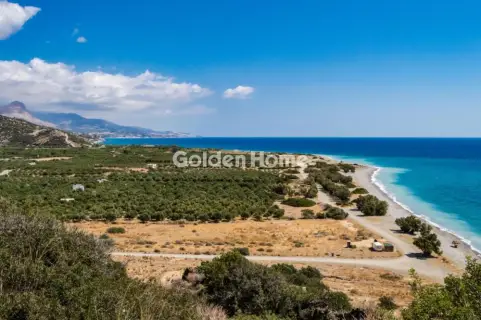 Οικιστικό 9812τ.μ. προς πώληση φωτογραφία 5305451