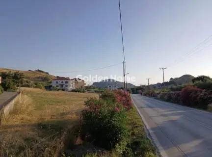 Οικιστικό 4543τ.μ. προς πώληση φωτογραφία 4