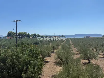 Μονοκατοικία 96τ.μ. προς πώληση φωτογραφία 11