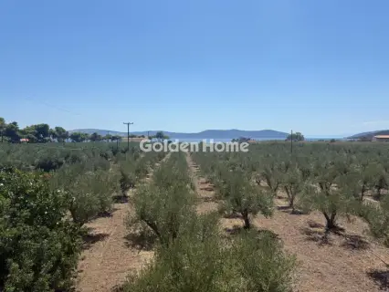 Μονοκατοικία 96τ.μ. προς πώληση φωτογραφία 12