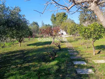 Residential 448m<sup>2</sup> for sale photo 5319005