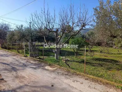 Residential 448m<sup>2</sup> for sale photo 5319006