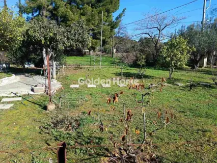 Residential 448m<sup>2</sup> for sale photo 5319007