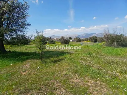 Οικιστικό 710τ.μ. προς πώληση φωτογραφία 5322254