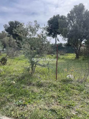 Residential 350m<sup>2</sup> for sale photo 5308506