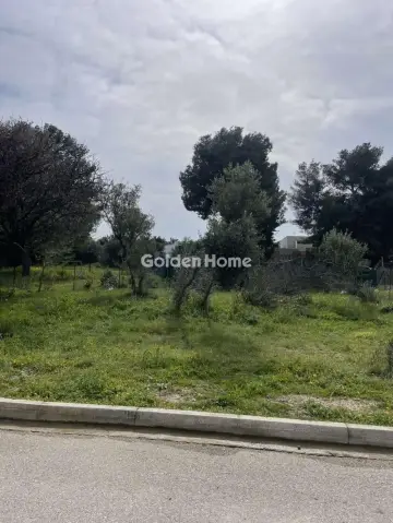 Residential 350m<sup>2</sup> for sale photo 5308505