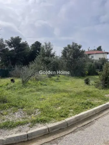 Residential 350m<sup>2</sup> for sale photo 5308508