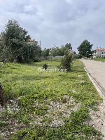 Residential 350m<sup>2</sup> for sale photo 5308509