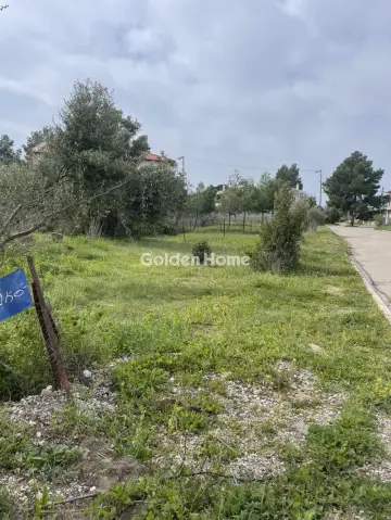 Residential 350m<sup>2</sup> for sale photo 5308510