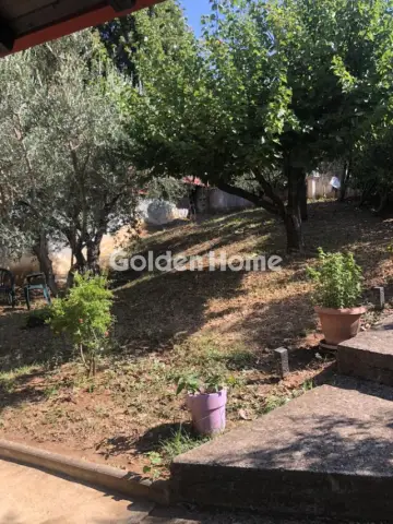 Μονοκατοικία 213τ.μ. προς πώληση φωτογραφία 12