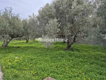 Parcel 400m<sup>2</sup> for sale photo 5336660