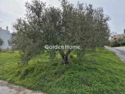 Parcel 495m<sup>2</sup> for sale photo 2