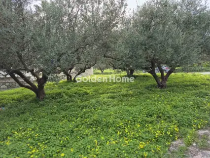 Parcel 495m<sup>2</sup> for sale photo 8