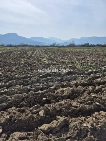 Parcel 24000m<sup>2</sup> for sale photo 5315520