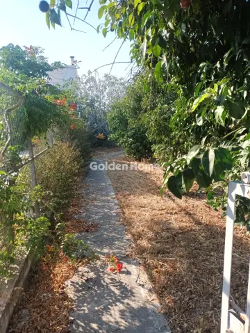 Μονοκατοικία 50τ.μ. προς πώληση φωτογραφία 5310805