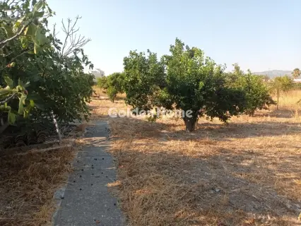 Οικιστικό 783τ.μ. προς πώληση φωτογραφία 7