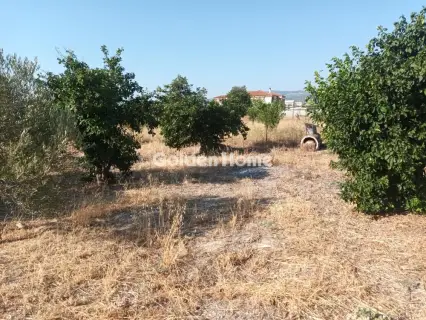 Οικιστικό 783τ.μ. προς πώληση φωτογραφία 8