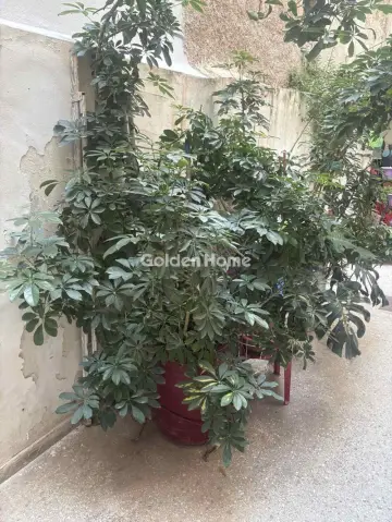 Γκαρσονιέρα 24τ.μ. προς πώληση φωτογραφία 2