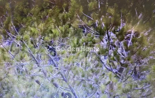 Residential 385m<sup>2</sup> for sale photo 1