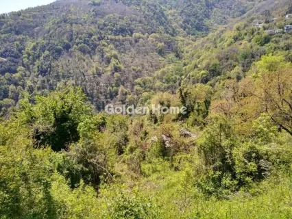 Residential 4454m<sup>2</sup> for sale photo 5311059