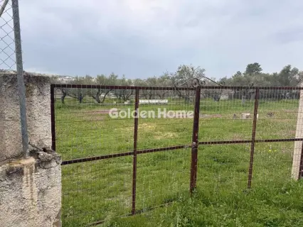 Οικιστικό 1345τ.μ. προς πώληση φωτογραφία 5311204