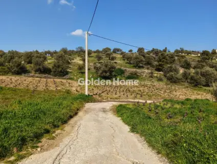 住宅 4037m<sup>2</sup> for sale photo 6