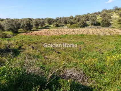 Residential 4037m<sup>2</sup> for sale photo 2