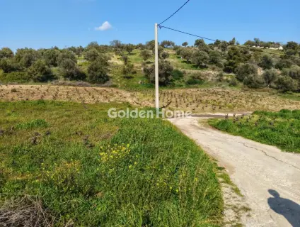 Residential 4037m<sup>2</sup> for sale photo 5