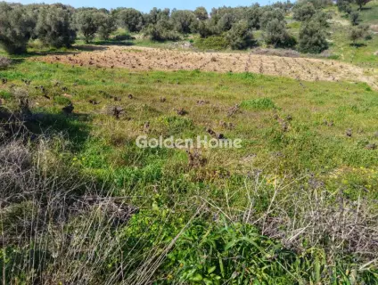 Residential 4037m<sup>2</sup> for sale photo 1