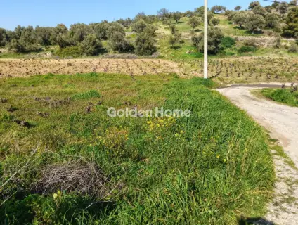 Residential 4037m<sup>2</sup> for sale photo 4