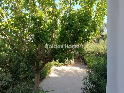 Apartment 35m<sup>2</sup> for rent photo 5316765