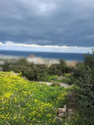 Οικιστικό 1100τ.μ. προς πώληση φωτογραφία 5559520