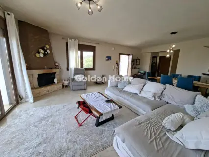 Μονοκατοικία 270τ.μ. προς πώληση φωτογραφία 16