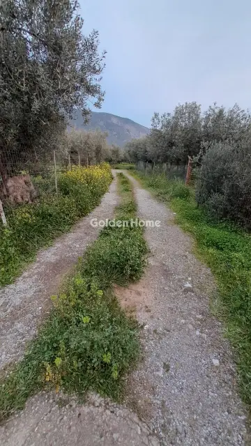 Αγροτεμάχιο 4790τ.μ. προς πώληση φωτογραφία 5