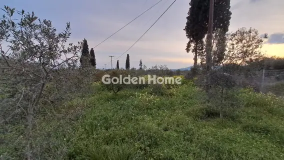 Αγροτεμάχιο 4790τ.μ. προς πώληση φωτογραφία 1