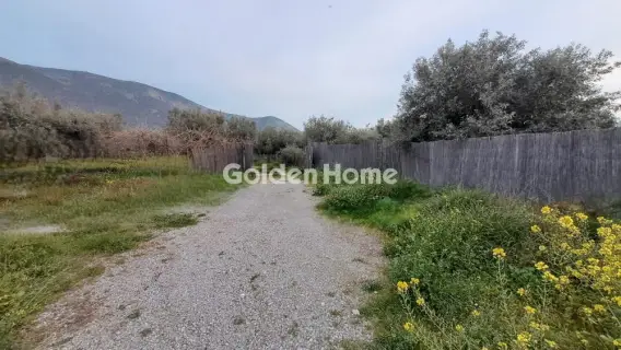 Αγροτεμάχιο 4790τ.μ. προς πώληση φωτογραφία 4